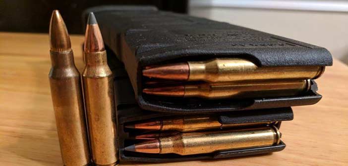 OFB 5.56 mm Nato ammunition US order