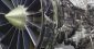 GE- F404 jet engine.