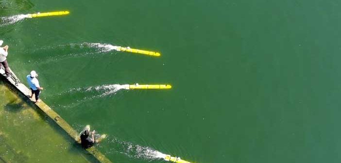 DRDO's AUV for Anti-Mine Missions.